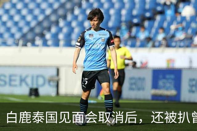 白鹿泰国见面会取消后，还被扒曾为缅北拍宣传片，知情人爆料更多